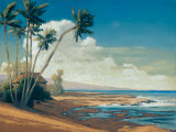 Kona Coast I