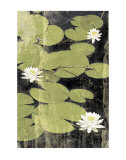 Pond Blossoms