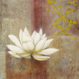 Global Brilliance I