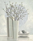 Silver Inspiration II