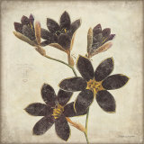Purple Flower