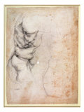 Study of Torso and Buttock