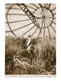 Framework of the Zeppelin Shot Down in the Vardar Marshes  Near Salonika  1914-19