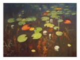 Water Lilies 1895