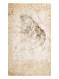 Study for The Creation of Adam