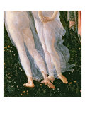 Primavera  C1478 