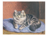 The Blue Cushion