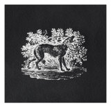 A Hound from 'History of British Birds and Quadrupeds'