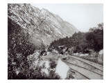 Mule Railway in North America  late 19th century