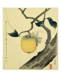 Moon  Persimmon and Grasshopper  1807