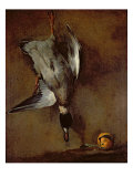 A Mallard Duck hanging on a wall with a Seville orange  1720-30
