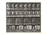 Woman Throwing a Bucket of Water  Plate 401 from 'Animal Locomotion'  1887