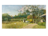 Springtime