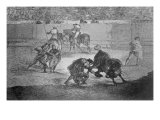 Pepe Hillo Making the Pass of the 'Recorte'  Plate 29 of 'The Art of Bullfighting'  pub 1816