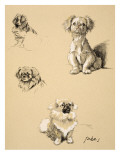 Pekes  1930  Illustrations from his Sketch Book used for 'Just Among Friends'