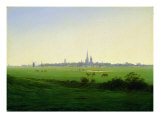 Meadows near Greifswald