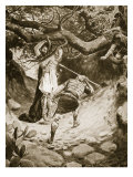 The Death of Absalom