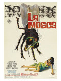 The Fly  Spanish Movie Poster  1958