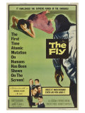 The Fly  1958