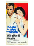 Cat On a Hot Tin Roof  Italian Movie Poster  1958