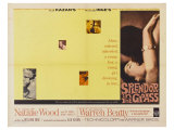 Splendor in the Grass  1961