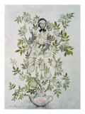 a Kindly-Looking Old Woman  illustration to 'Elder Tree Mother' from 'Fairy Tales'
