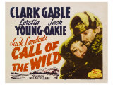 The Call of the Wild  1935