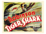 Tiger Shark  1932