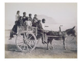 A Crowded Wagon Drawn by a Mule  Palermo  Sicily  c1880