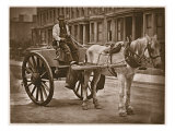 The Water Cart  from 'Street Life in London'  1877-78