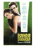 Splendor in the Grass  Spanish Movie Poster  1961