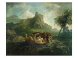 Leopards at Play  c1763-8