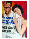 Cat On a Hot Tin Roof  Italian Movie Poster  1958
