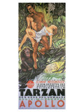 Tarzan The Ape Man  German Movie Poster  1932