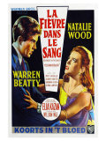 Splendor in the Grass  Belgian Movie Poster  1961