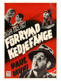 I Am a Fugitive From a Chain Gang  Swedish Movie Poster  1932