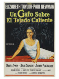 Cat On a Hot Tin Roof  Argentine Movie Poster  1958