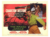 The Naked Jungle  1954