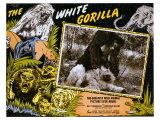 The White Gorilla  1945