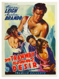 A Streetcar Named Desire  Belgian Movie Poster  1951