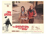 The Shakiest Gun in The West  1968