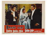 Bright Leaf  1950