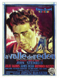 East of Eden  Italian Movie Poster  1955