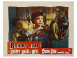 Bright Leaf  1950