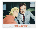 The Sandpiper  1965