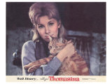The Three Lives of Thomasina  1964
