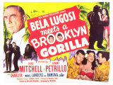 Bela Lugosi Meets a Brooklyn Gorilla  1952
