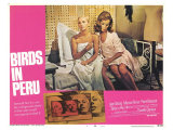 Birds in Peru  1968