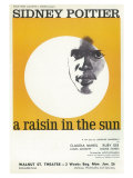 A Raisin In The Sun