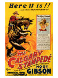 The Calgary Stampede